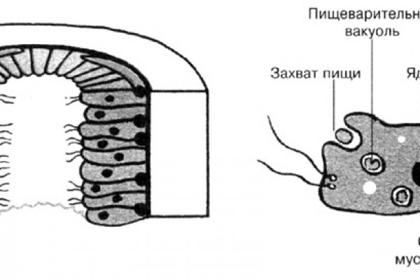 Kraken даркнет что это