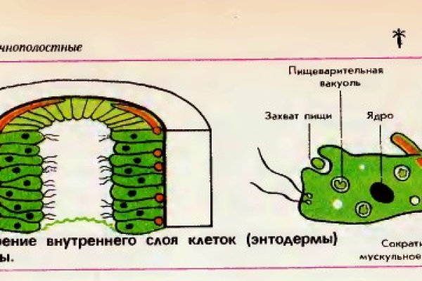 Наркоплощадки кракен